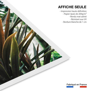 Affiche fleur de yucca et forêt tropicale Affiche seule