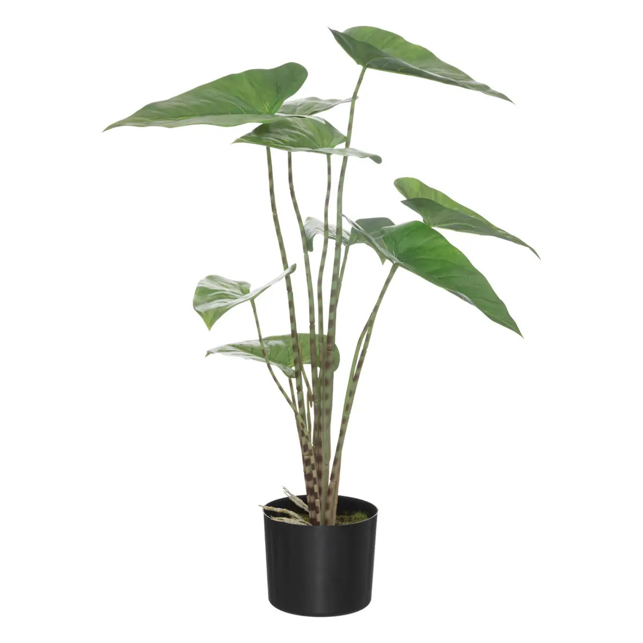 Zebrina artificiel - pot en ciment - H75 cm