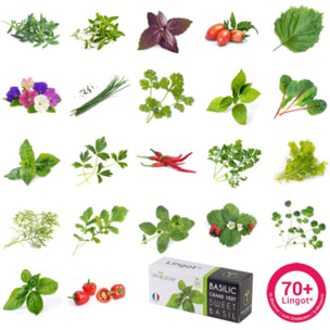 Recharge jardin d'intérieur VERITABLE piment Jalapeno