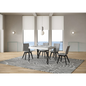 Table extensible 80x120/204 cm Karamay Frêne Blanc cadre Anthracite