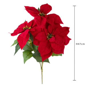 Stella natale d. - Pezzi 12 - ROSSO - Bianchi Dino SpA