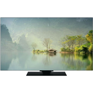 TV OLED PANASONIC TV-65Z80AEZ