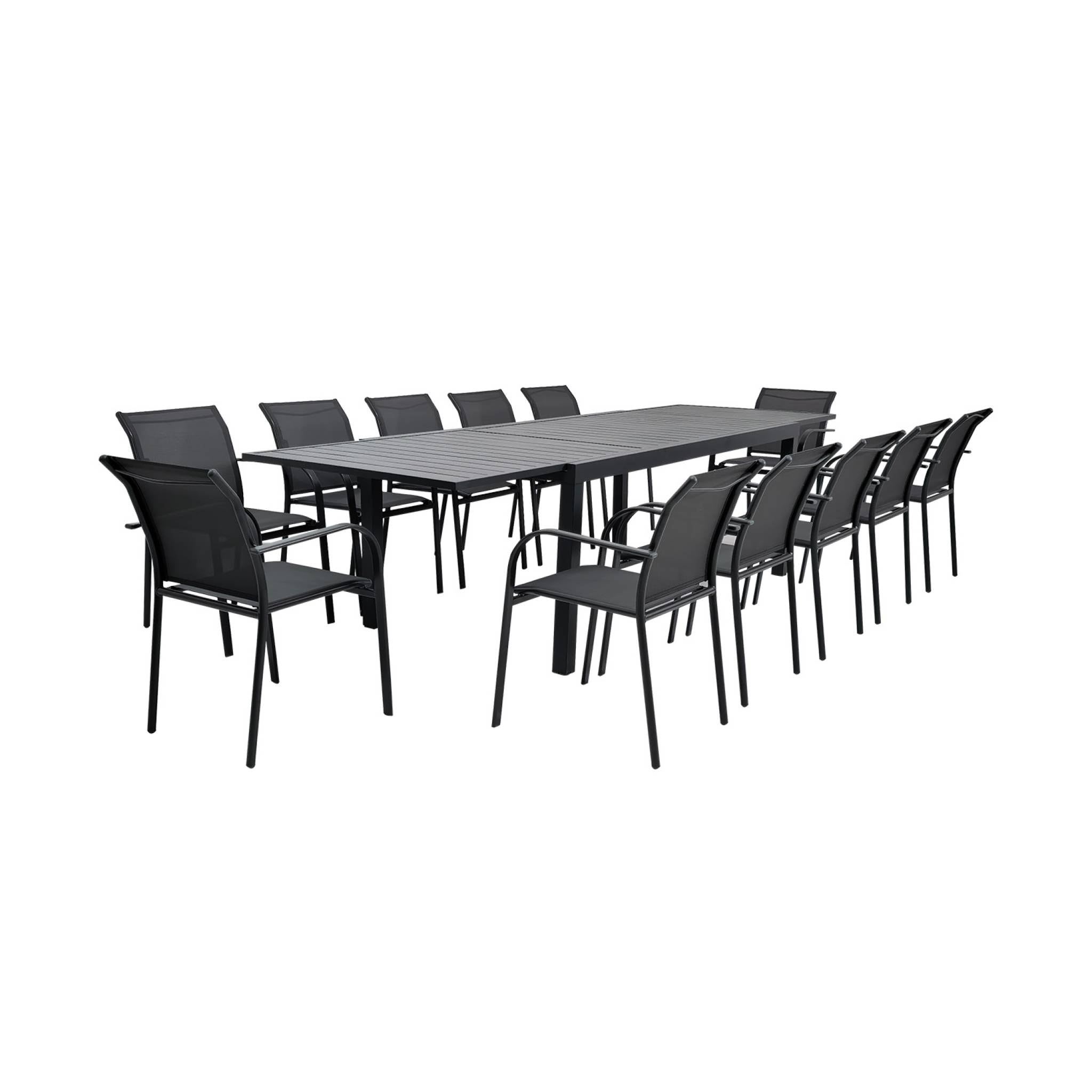 Table de jardin extensible aluminium 10-12 places ELORA