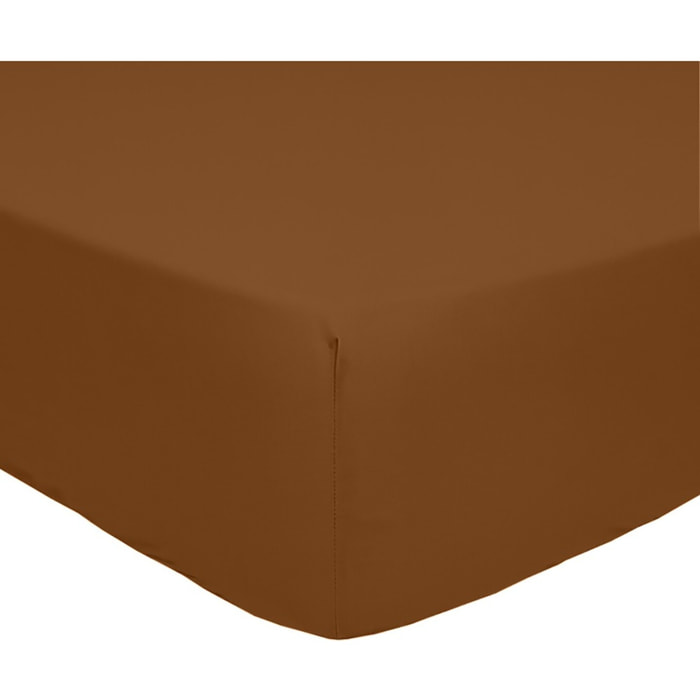 Drap housse 100% percale de coton 80fils_ocre