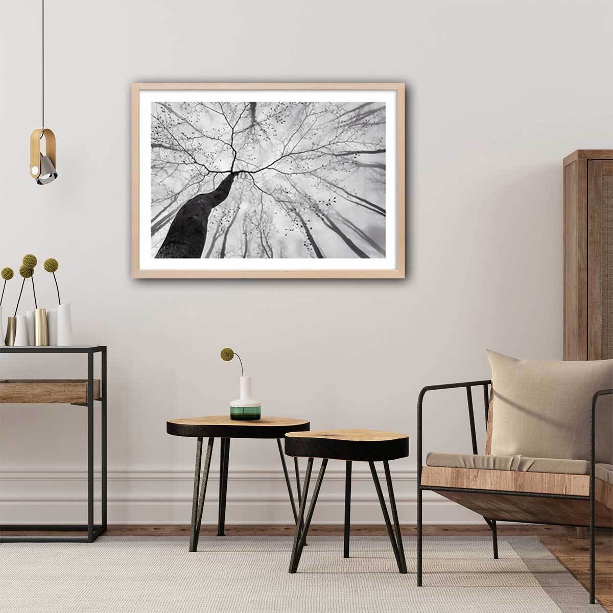 Affiche nature canopée en noir et blanc Affiche + cadre en bois - Chêne