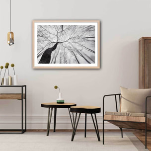 Affiche nature canopée en noir et blanc Affiche + cadre en bois - Chêne