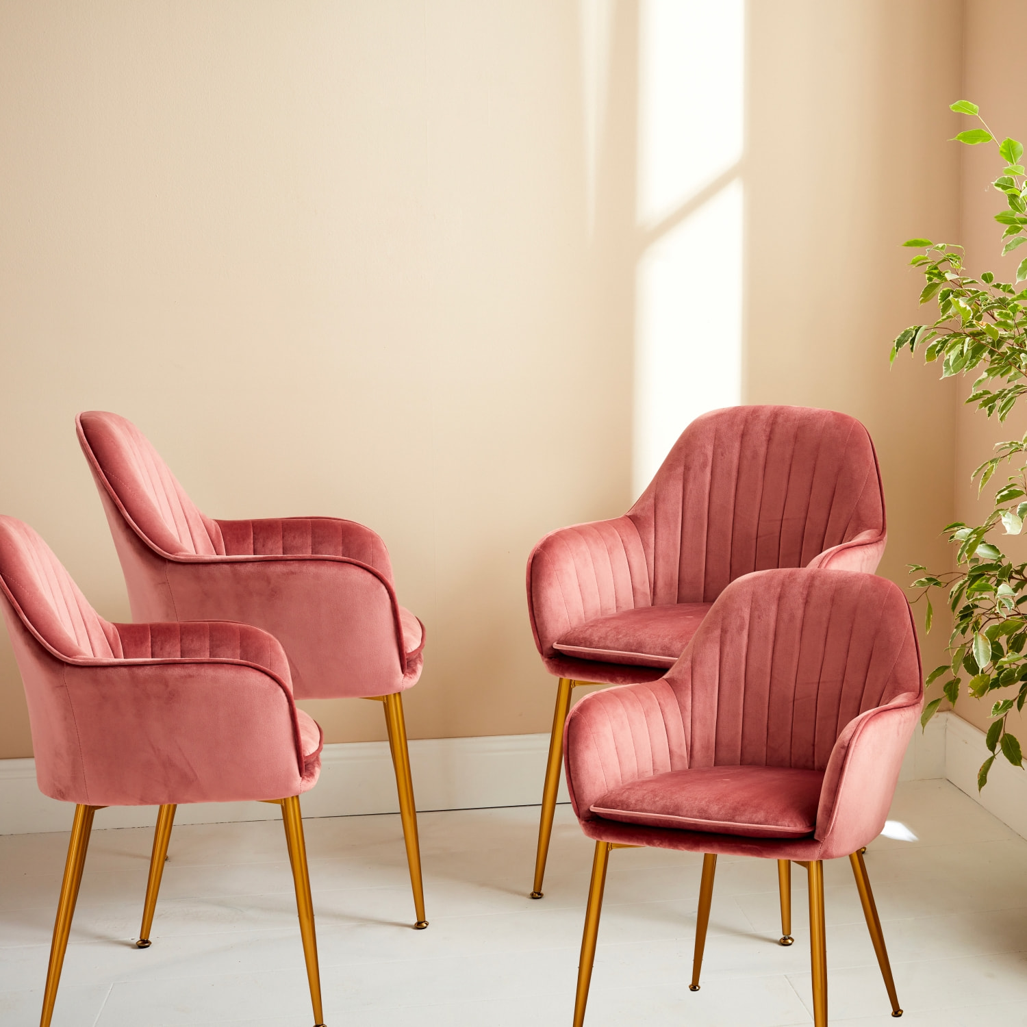 Lot de 4 fauteuils en velours vieux rose et pieds en métal noir. Shella L 57 x P 59 x H 84.5