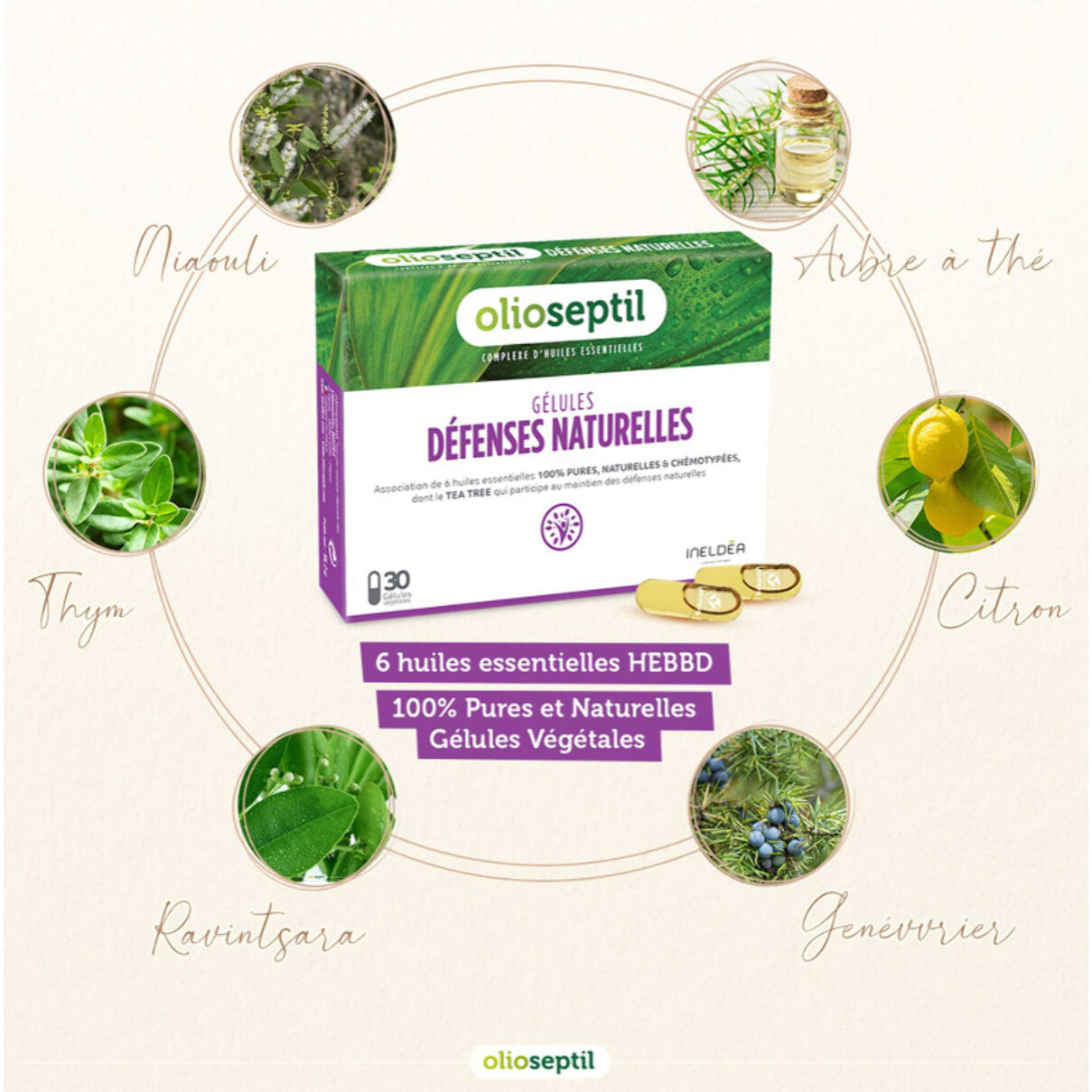 OLIOSEPTIL - Gélules Défenses Naturelles - Association de 6 Huiles Essentielles Pures et Chémotypées en Gélules Végétales L-Vcaps - Dès 15 Ans - Stimule les Défense Naturelles - Lot de 3 produits
