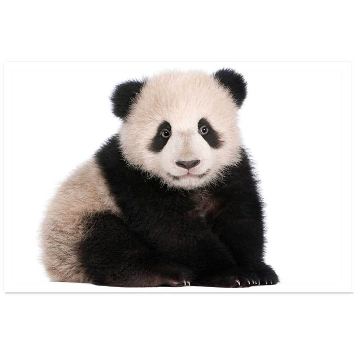 Affiche enfant bébé panda  Affiche seule
