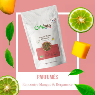 Rencontre Mangue & Bergamote - Thé vert Bio mangue bergamote - Sachet 100g