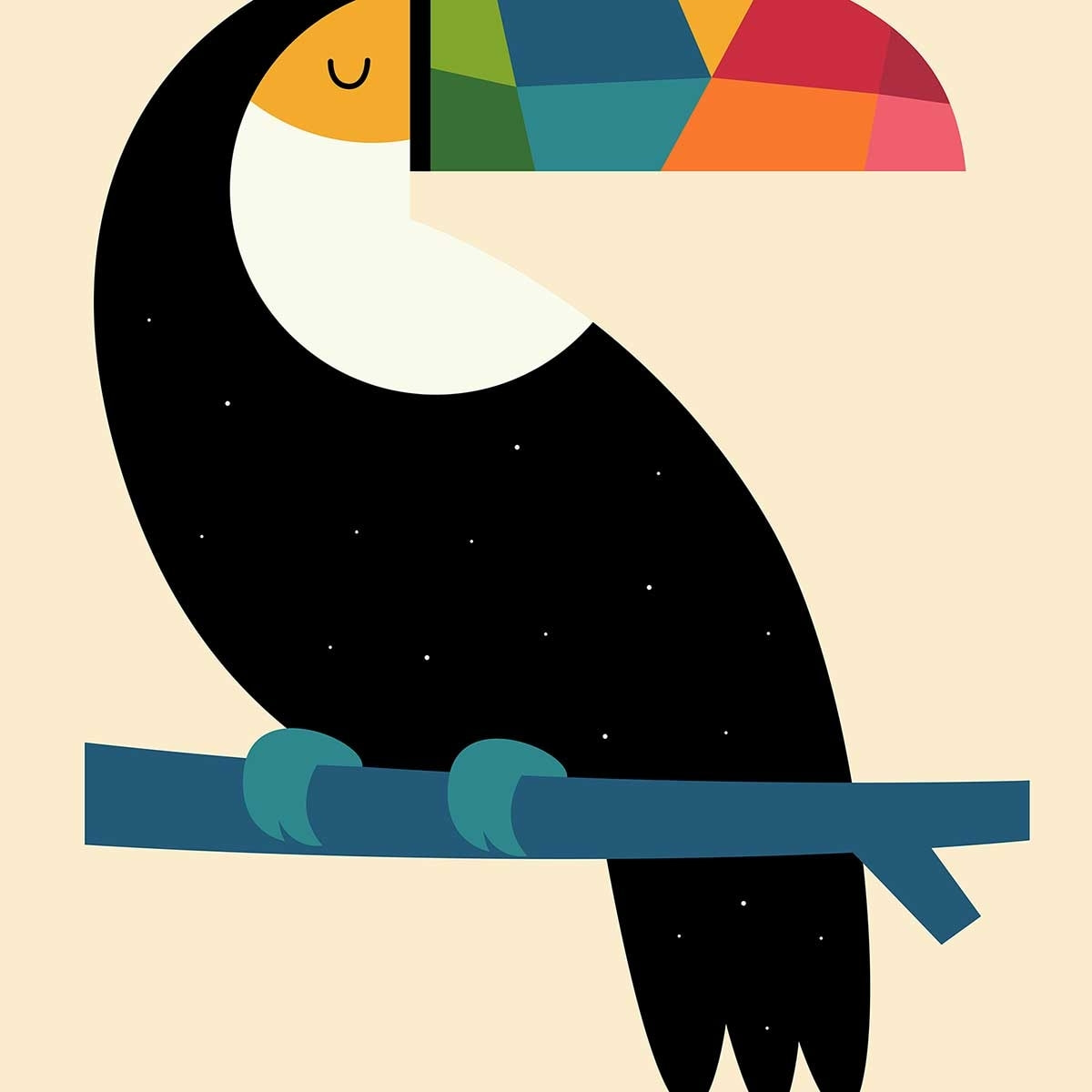 Affiche  toucan Affiche + cadre en bois - Chêne