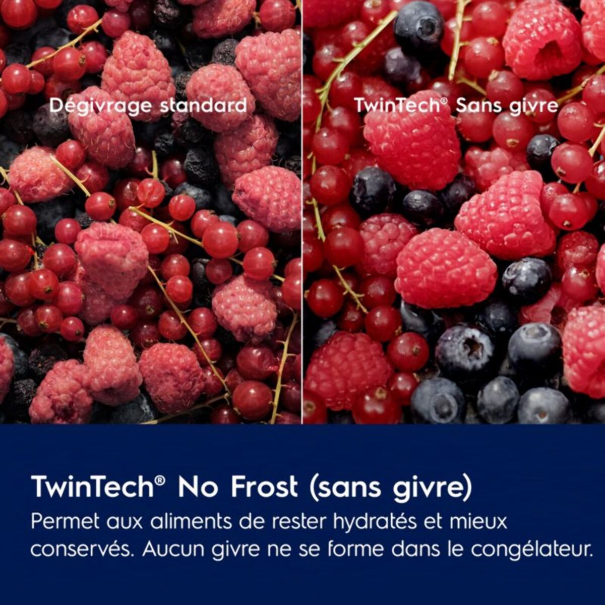 Réfrigérateur combiné encastrable ELECTROLUX KNT6ME18S4