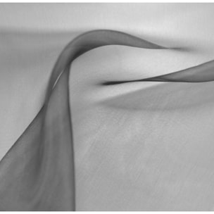 Tissu en organza non feu M1 - Noir