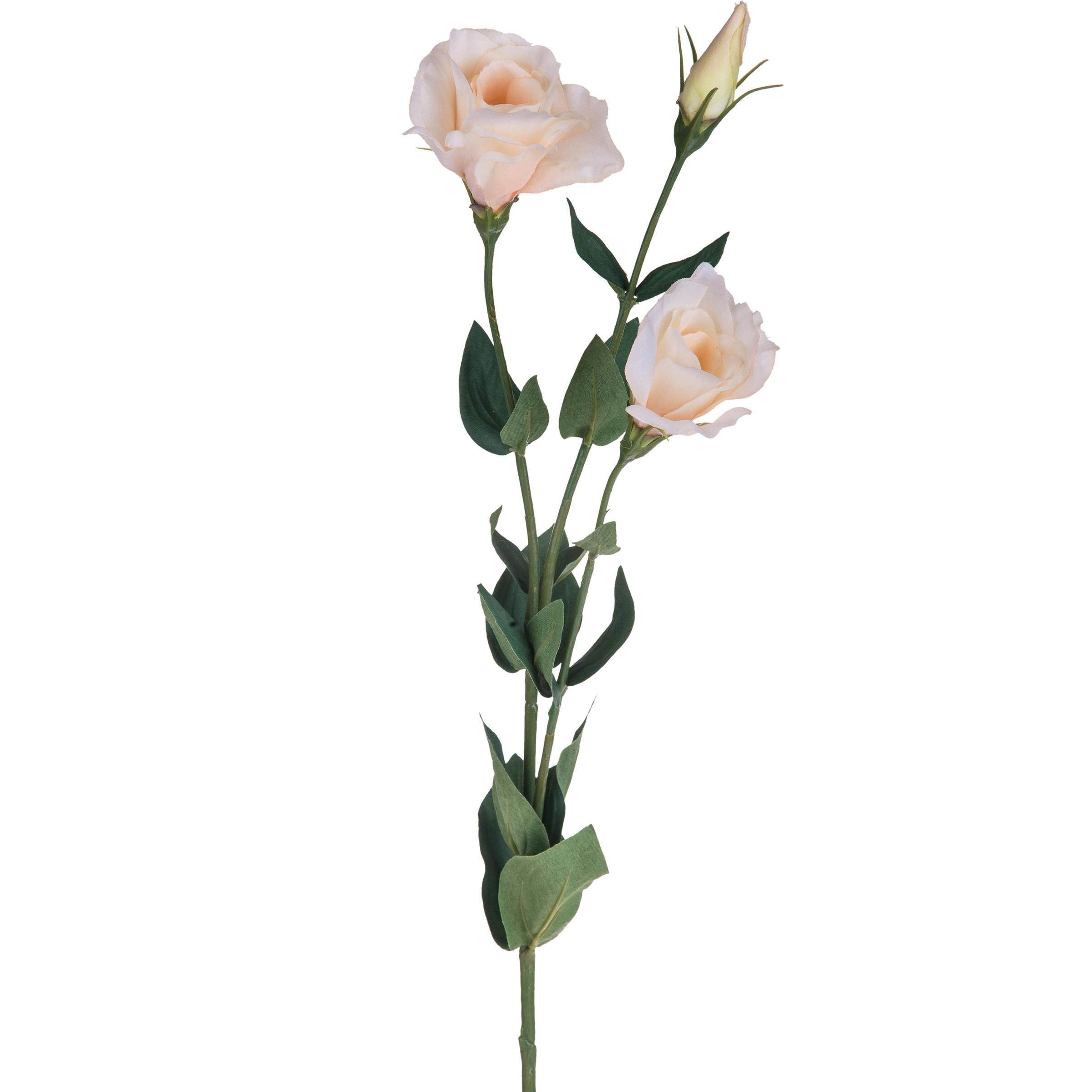 Lisianthus Composto Da 3 Fiori. Altezza 75 Cm - Pezzi 6 - 10X75X19cm - Colore: Altro - Bianchi Dino - Fiori Artificiali