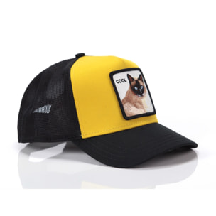 Cappelli Goorin Cool Cat Giallo