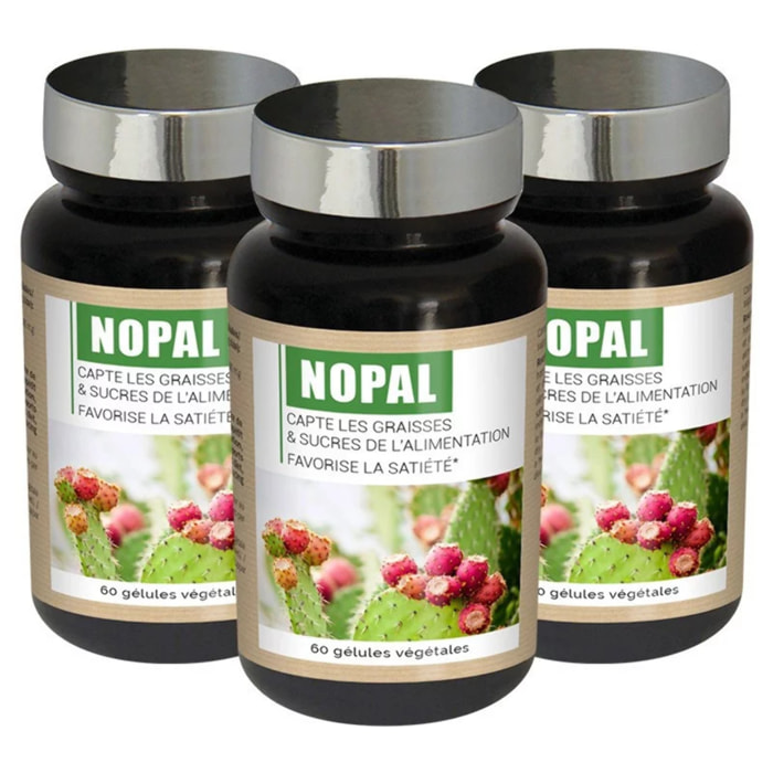 NUTRIEXPERT – Nopal – Capte les graisses et sucres– Favorise la satiété – Réduit appétit et apport calorique des repas – 100% extraits d'origine naturelle – Convient aux végans - Lot de 3 produits