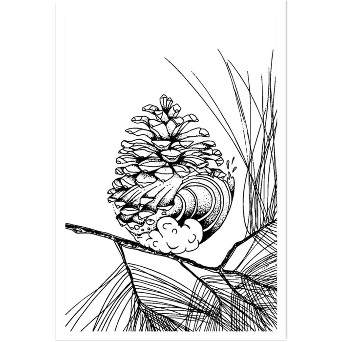 Poster pigne des landes Affiche seule