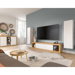 Ethan – meuble tv – 1 porte – bois et blanc - 180 cm - Bois / Blanc