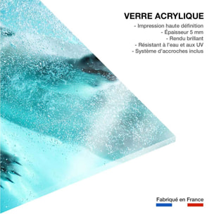 Tableau ours blanc en plein plongeon Tableau plexiglas