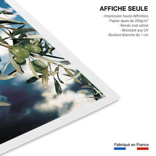 Poster kalamata, olivier grec Affiche seule