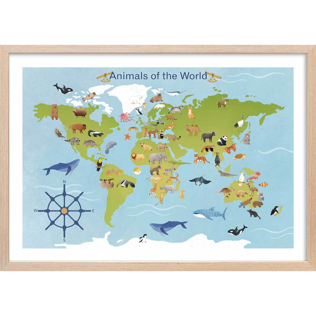 Affiche enfant animaux du monde  Affiche sous cadre bois
