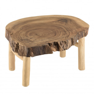 WILL - Table basse forme naturelle en branches de teck