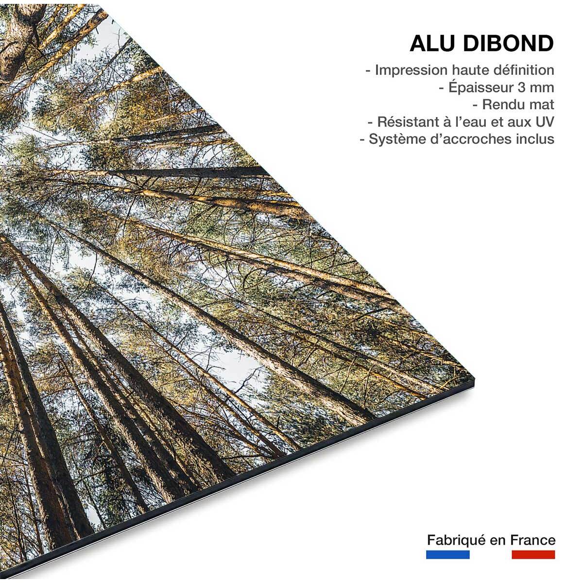 Tableau perspective des cîmes Tableau alu Dibond