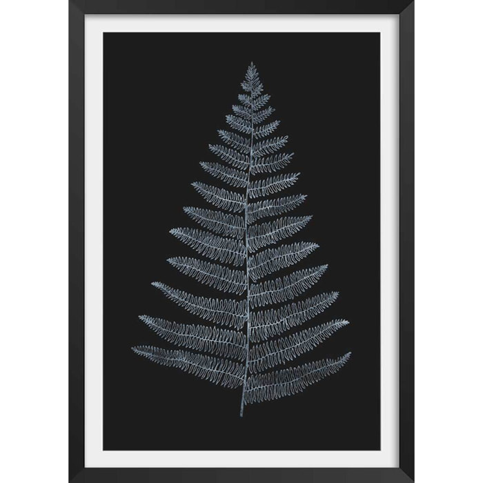Poster fougère royale blanche Affiche + cadre en bois - Noir