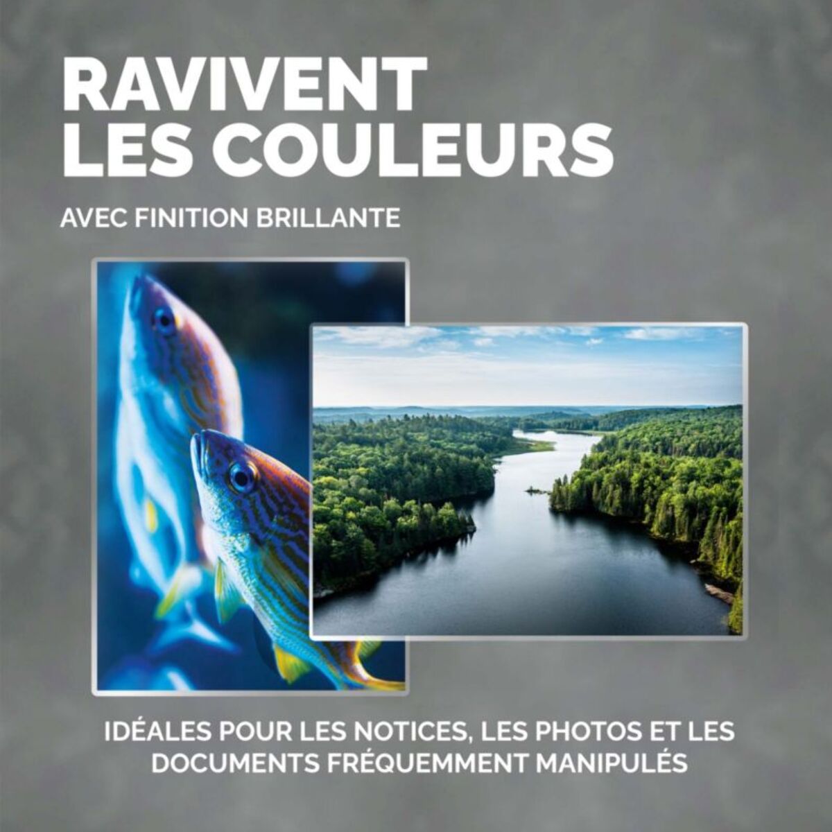 POCHETTE FELLOWES plastification A3 80 mic x100