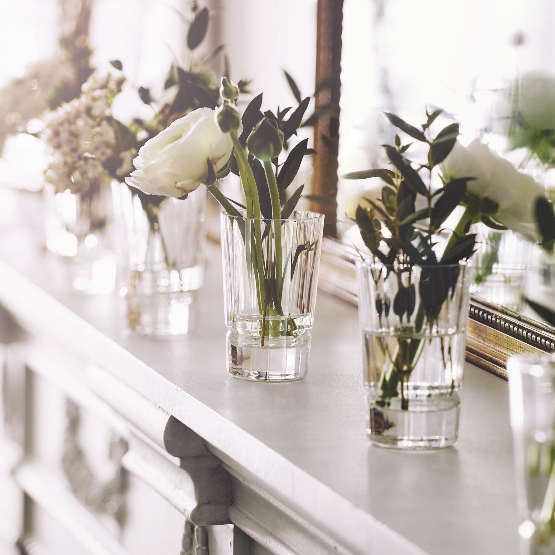 6 verres à shooter 6 cl Macassar - Cristal d'Arques