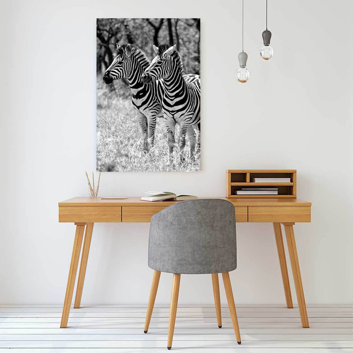 Tableau animaux zebre en duo  Tableau plexiglas