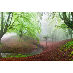 Tableau paysage de foret renaissance verte  Toile imprimée