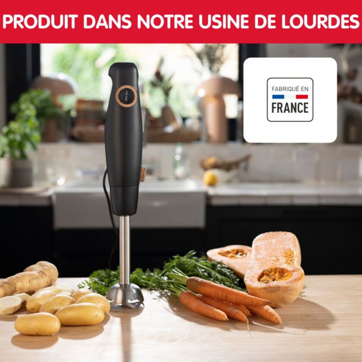 Mixeur MOULINEX DD46E810 ECO RESPECT