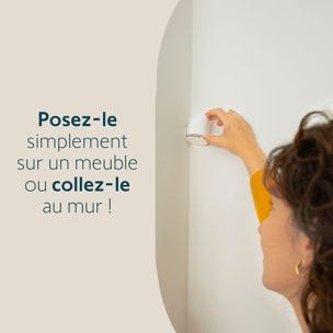 Détecteur de Mouvement Intérieur - Compatible Animaux – Fabriqué en France