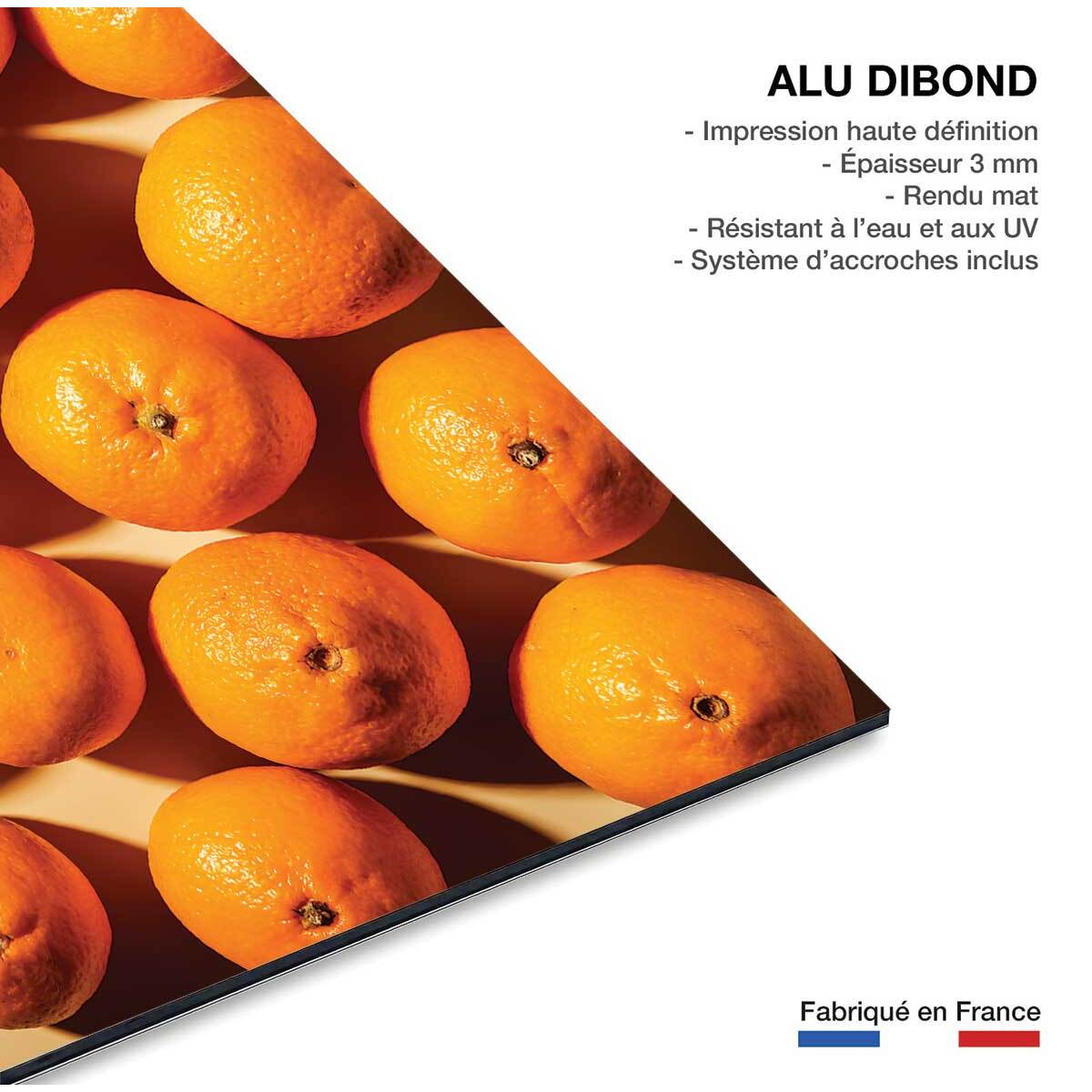 Tableau cuisine orange vitaminée Tableau alu Dibond