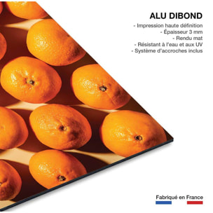 Tableau cuisine orange vitaminée Tableau alu Dibond