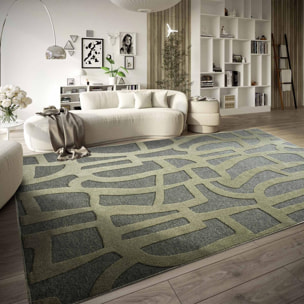 Tapis kilim, motif géométrique authentique, kilim tissé, fylo