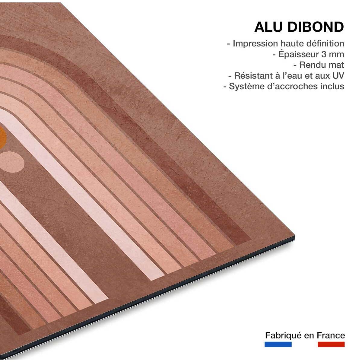 Tableau organique  archy  Tableau alu Dibond