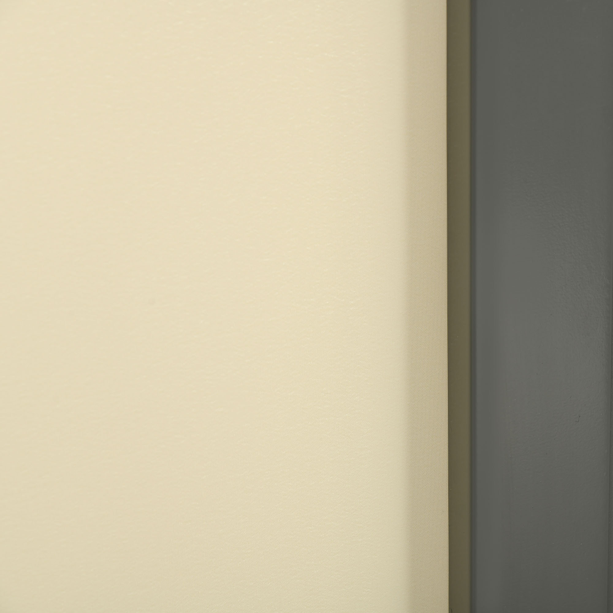 Toldo Lateral Retráctil 300x160 cm Pantalla Enrollable Mampara de Privacidad y Protección Solar para Jardín Balcón Terraza Crema