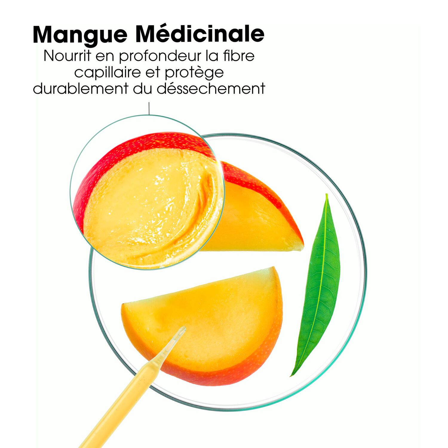 Mangue  - Après-Shampooing Nourrissant & Éclat 200ml