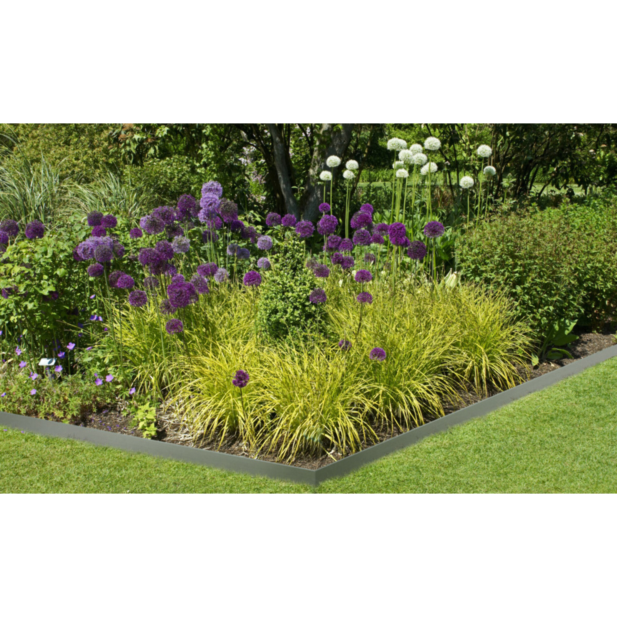Bordurettes pour parterre en métal - lot de 5