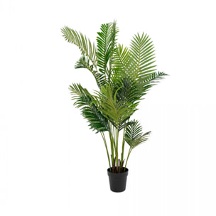 Areca Palm - Plante artificielle H175 cm : Couleur - Vert.