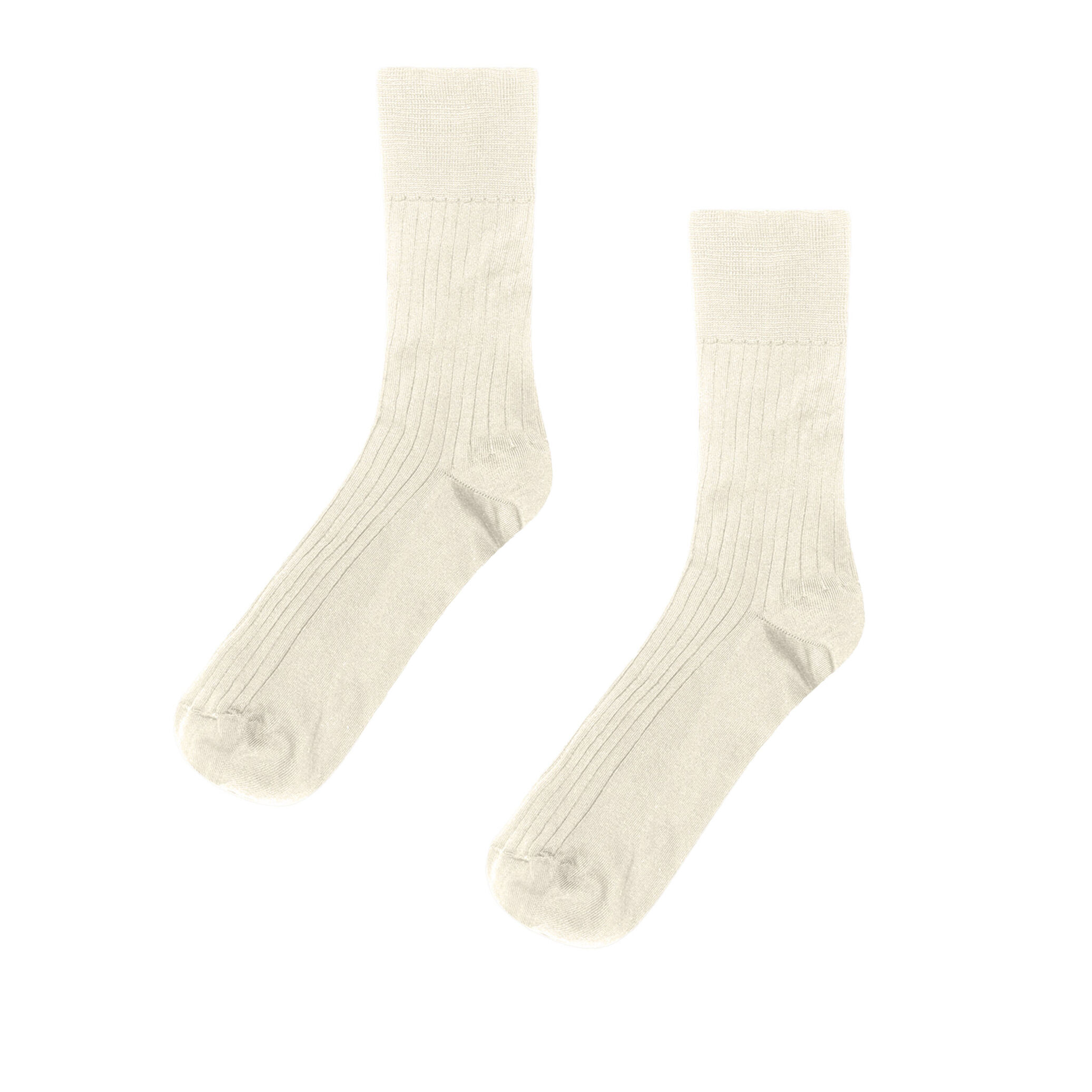 Calzini Luxury Cotton Rib Socks