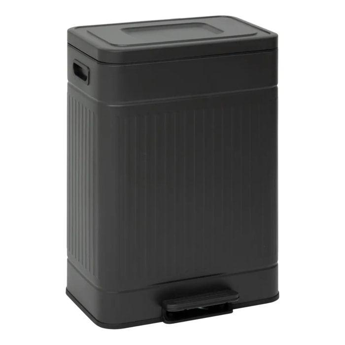 Poubelle Nova avec Pedale 2x30L Noir 45,5x36,5x67 cm