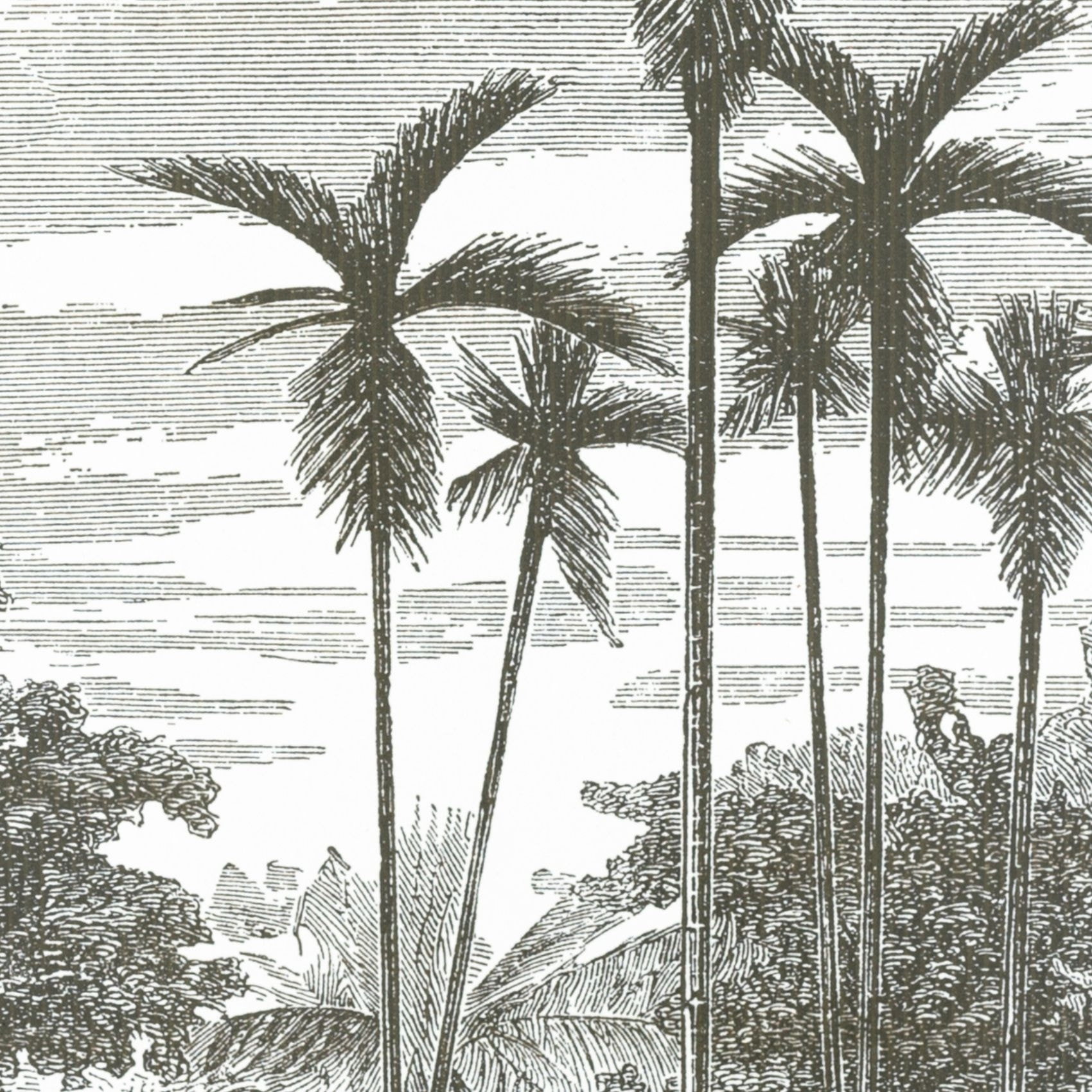 Abattant wood slim déclipsable esprit exotique - Gris clair