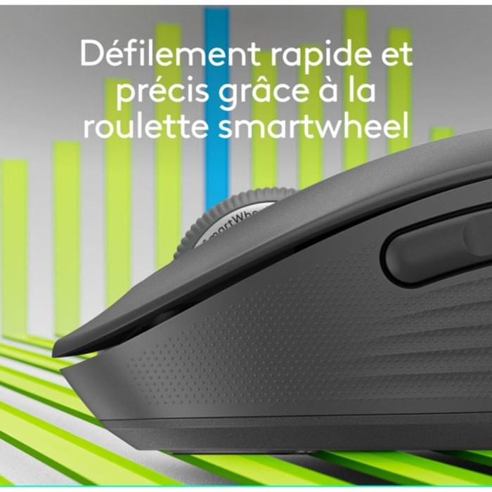 Souris sans fil LOGITECH SIGNATURE PLUS M750 L