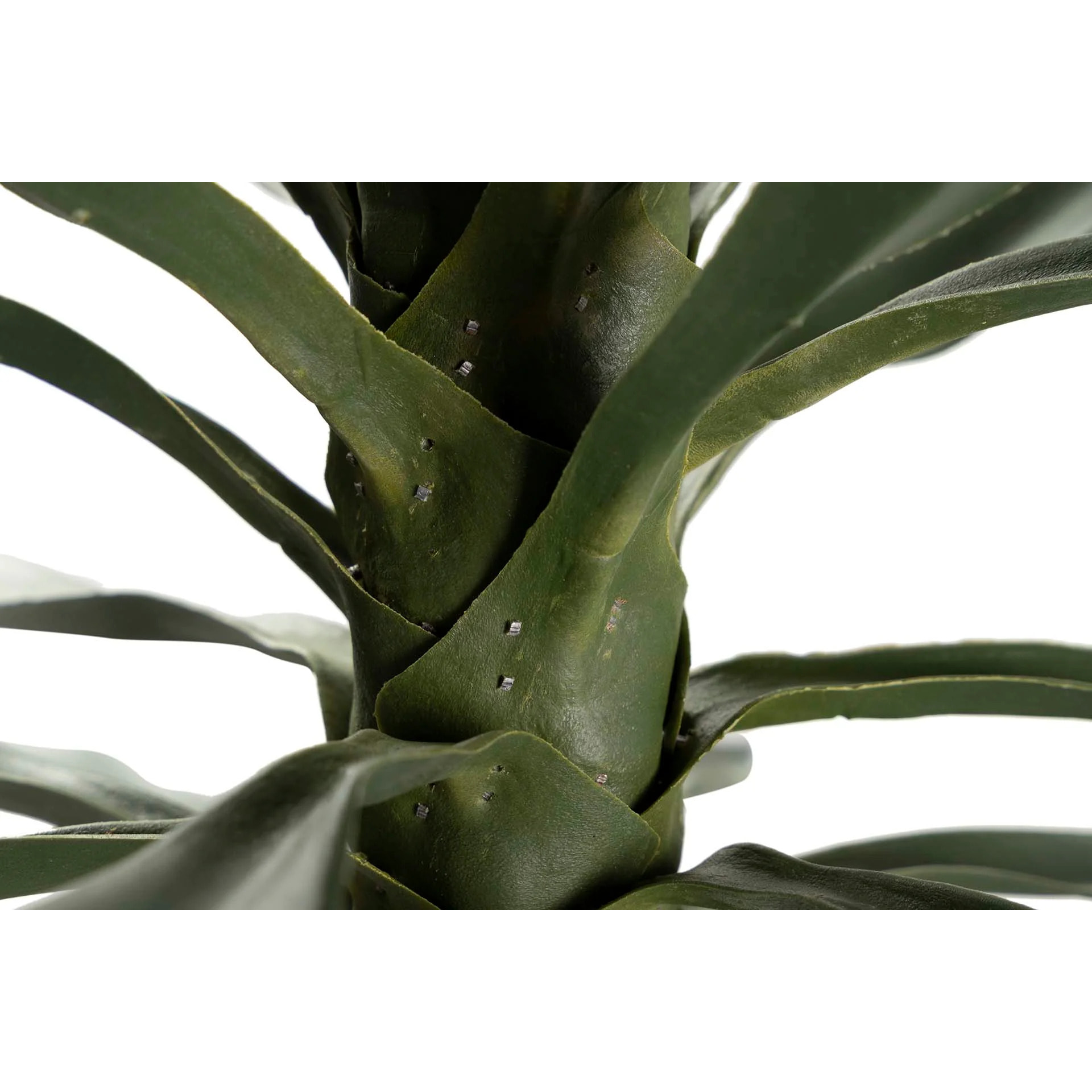 Planta Yucca 90x70x180 Cm