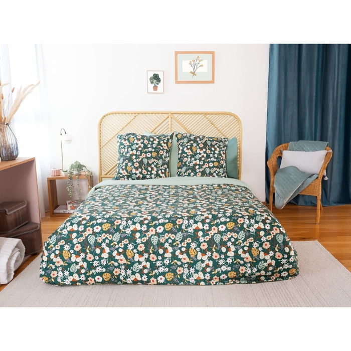 Parure Housse De Couette 3pcs 100% microfibre 72gsm Cueillette
