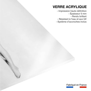 Tableau connu - Sophia Loren La péniche du bonheur Tableau plexiglas