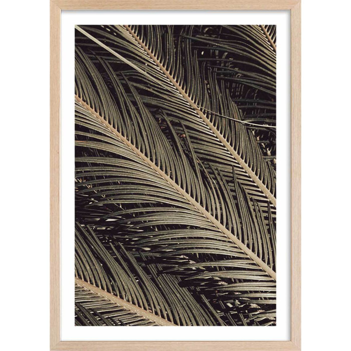 Poster palm island Affiche + cadre en bois - Chêne